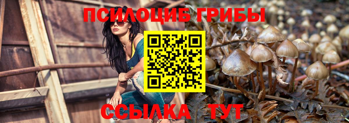Псилоцибиновые грибы ЛСД  Вход с VPN  Псилоцибиновые грибы Psilocybe  Южно-Сахалинск 