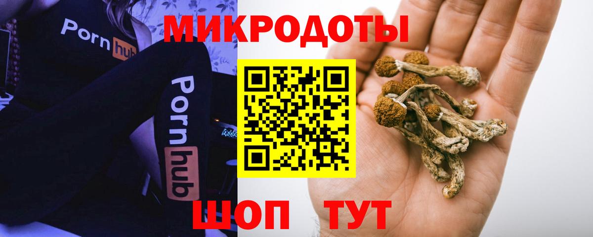 Галлюциногенные грибы мухоморы Южно-Сахалинск